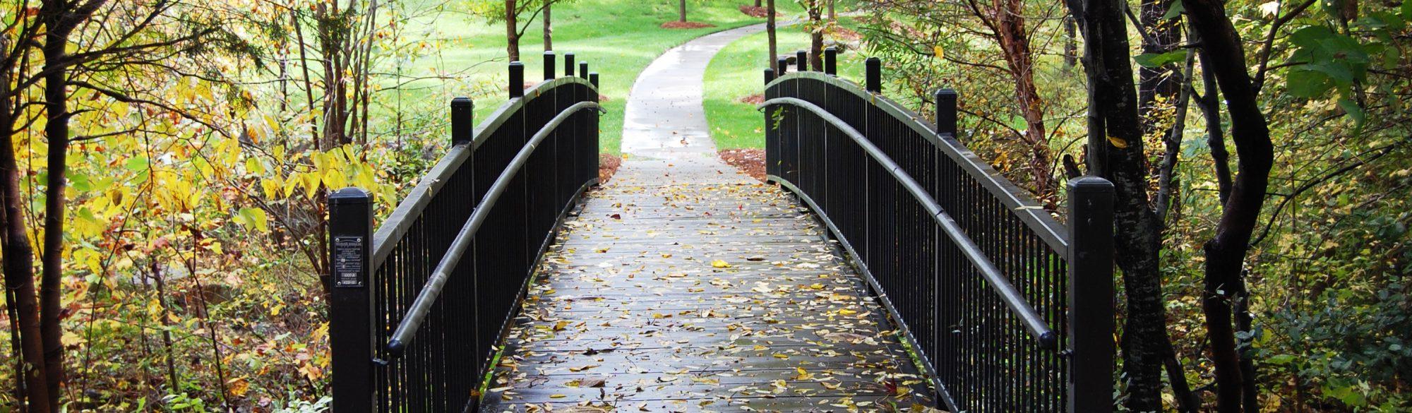 Walking Trail at 巴兰坦的 夏洛特